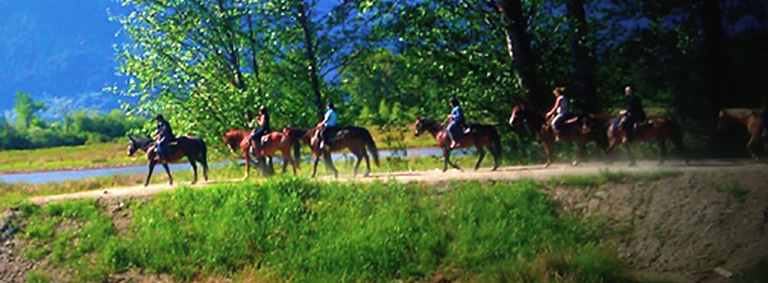 Vancouver Horseback Trail Riding
