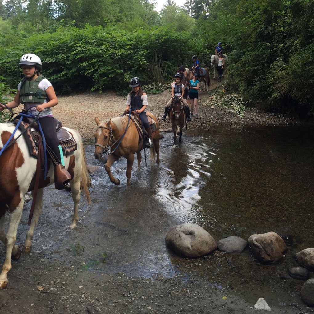 Vancouver Horseback Trail Riding