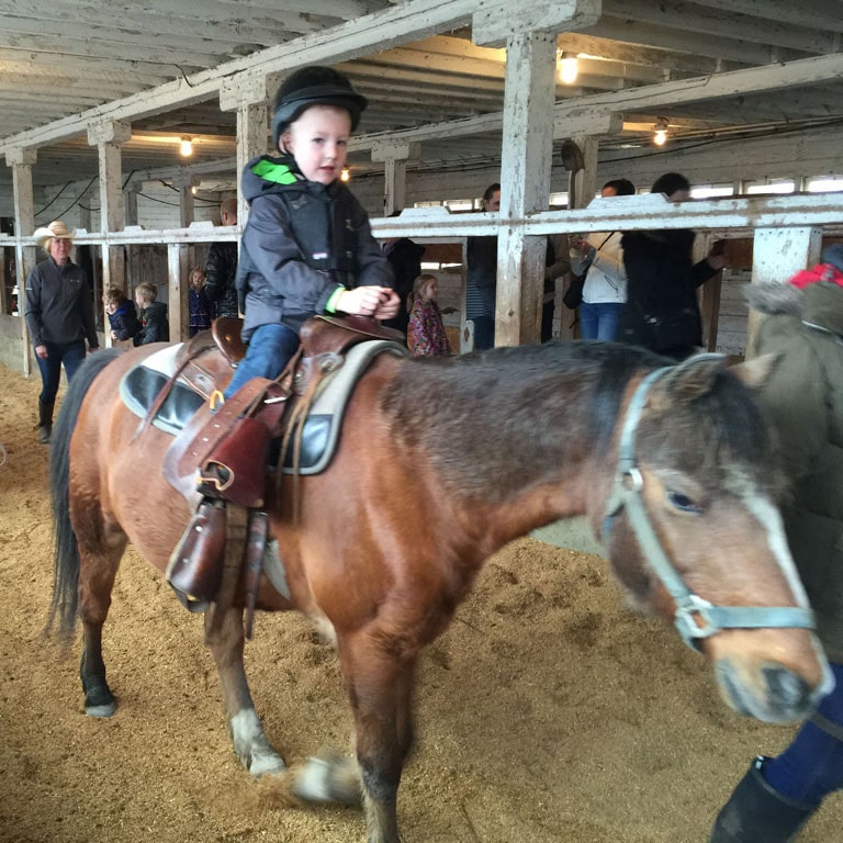 Child Riding Horse at Pony Birthday Party