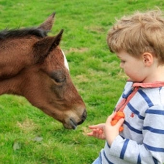 Vancouver Horseback Riding Child at Pony Party